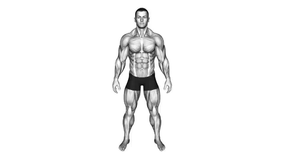 Thumbnail for the video of exercise: ПА АСНОЎНЫХ ГРУПАХ МЫШЦ Цягліцы цела мужчын