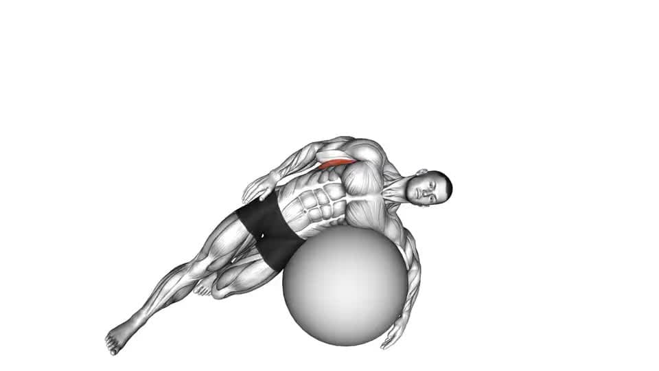 Thumbnail for the video of exercise: Exercise Ball Lying Side Lat Stretch