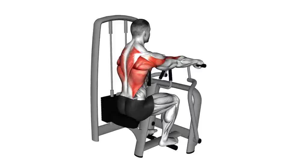 Thumbnail for the video of exercise: Lever Seated Row