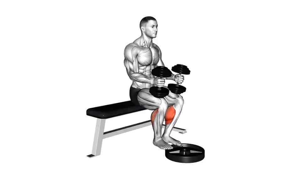 Thumbnail for the video of exercise: Dumbbell Seated Calf Raise