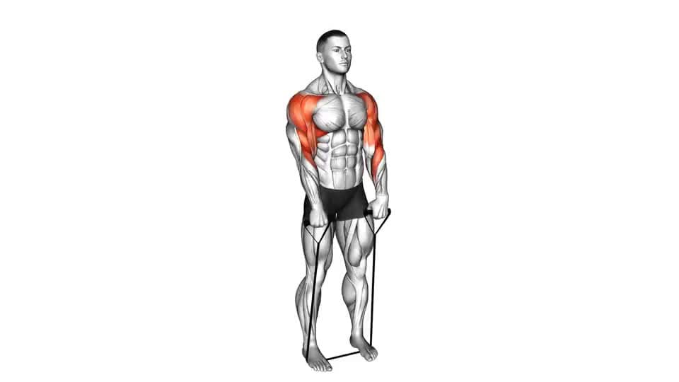 Thumbnail for the video of exercise: Band Upright Row