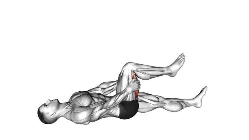 Hamstring Stretch - Video Guide | Lyfta