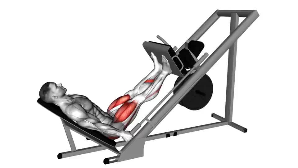 Thumbnail for the video of exercise: ਸਲੇਡ 45├╕ ਤੰਗ ਸਥਿਤੀ ਲੈੱਗ ਪ੍ਰੈਸ