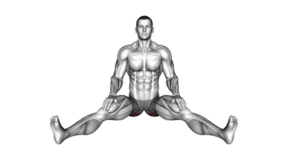 Thumbnail for the video of exercise: बैठा हुआ वाइड एंगल पोज़ अनुक्रम