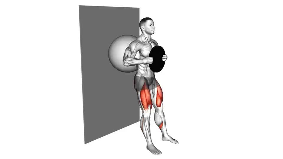 Thumbnail for the video of exercise: Weighted Exercise Ball Wall Squat
