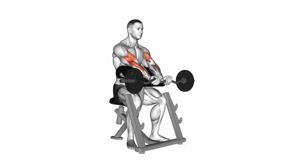 Thumbnail for the video of exercise: Close Grip Preacher Curl