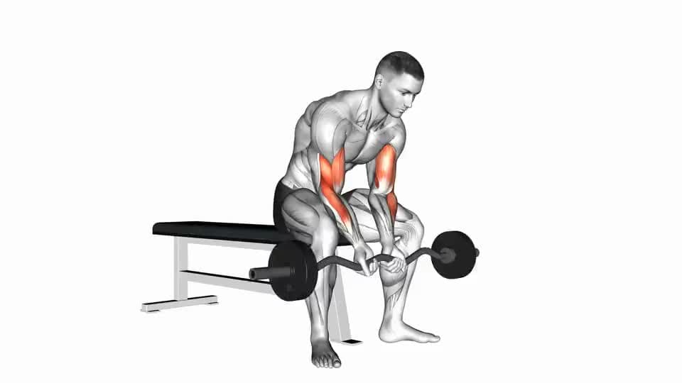Thumbnail for the video of exercise: EZ Bar Seated Close Grip Concentration Curl