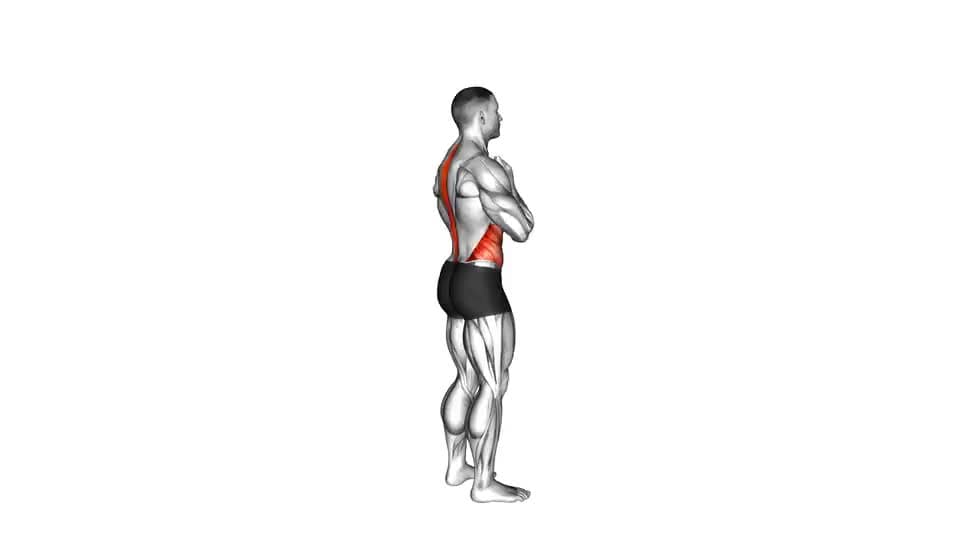 Thumbnail for the video of exercise: Standing Back Rotation Stretch