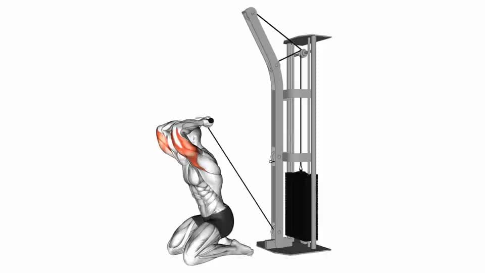 Thumbnail for the video of exercise: Kneeling Triceps Extension