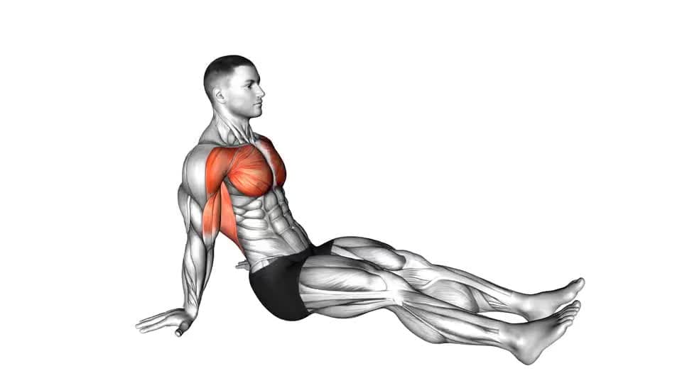 Thumbnail for the video of exercise: ويٺي ڪلهي تي فلڪسر ڊپريسر ريٽرڪٽر اسٽريچ