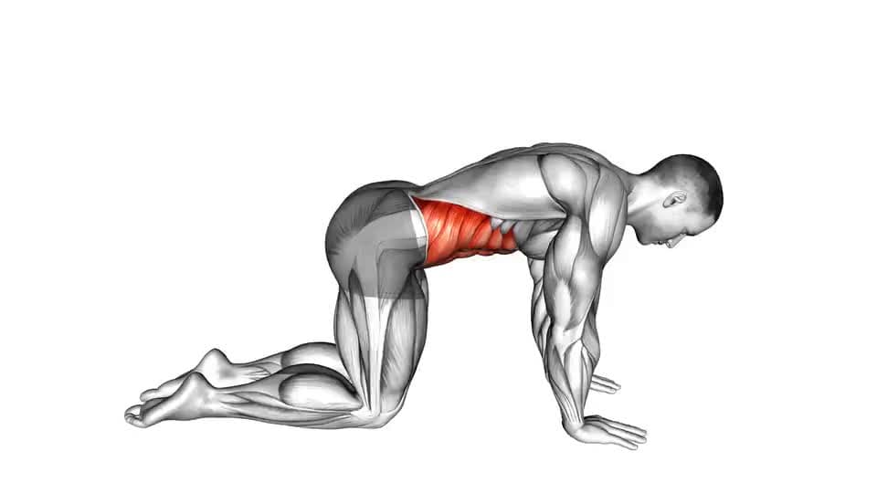 Thumbnail for the video of exercise: Кравешко разтягане