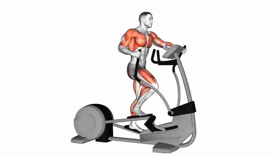 Thumbnail for the video of exercise: Walk Elliptical Cross Trainer