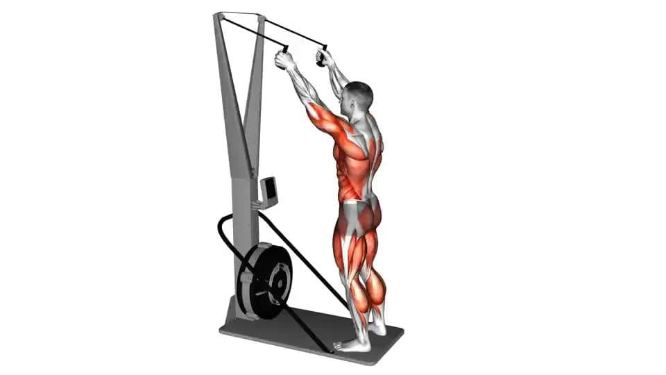 Thumbnail for the video of exercise: Ski Ergometer