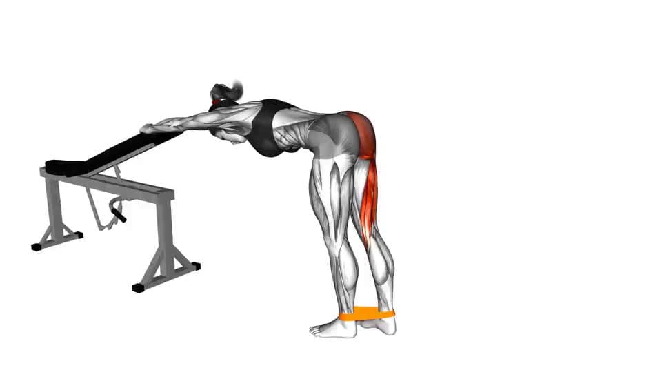 Thumbnail for the video of exercise: ପ୍ରତିରୋଧ ବ୍ୟାଣ୍ଡ ଏକ ଗୋଡ କିକବ୍ୟାକ୍ |