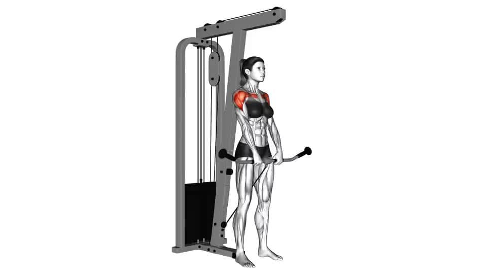 Thumbnail for the video of exercise: केबल अगाडि बढाउनुहोस्