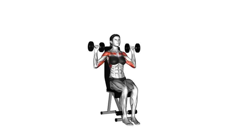 Thumbnail for the video of exercise: Dumbbell Seated Shoulder Press