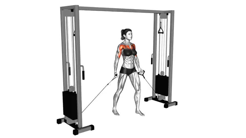 Thumbnail for the video of exercise: کیبل ټیټ پرواز