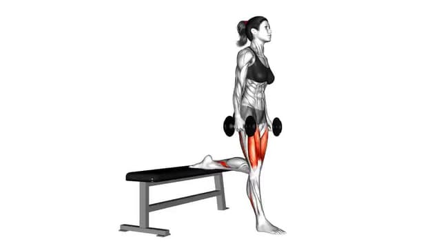 Dumbbell Bulgarian Split Squat - Video Guide | Lyfta