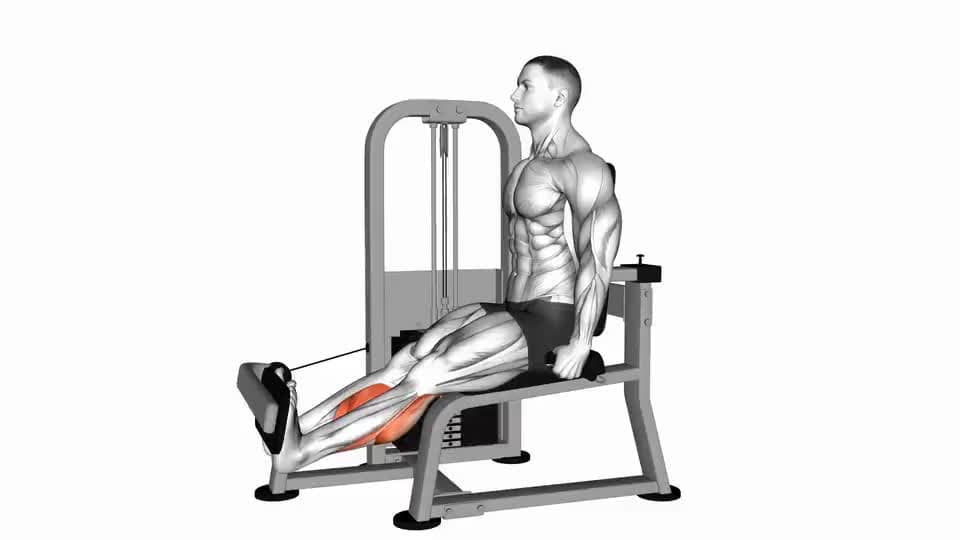 Thumbnail for the video of exercise: Lever Rotary Calf