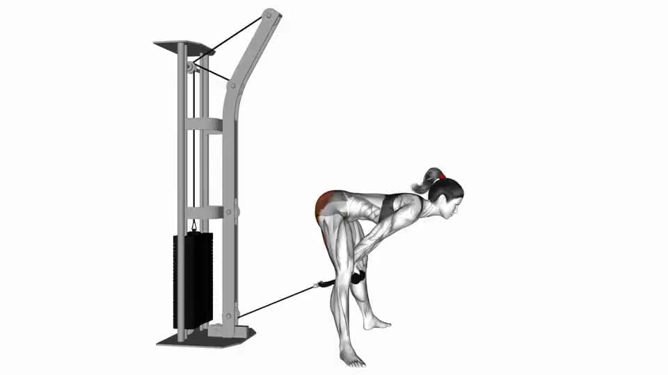 Thumbnail for the video of exercise: Прямые ножки троса протягиваются