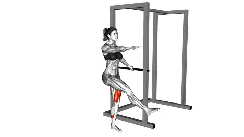 Thumbnail for the video of exercise: Single Leg Squat with Support