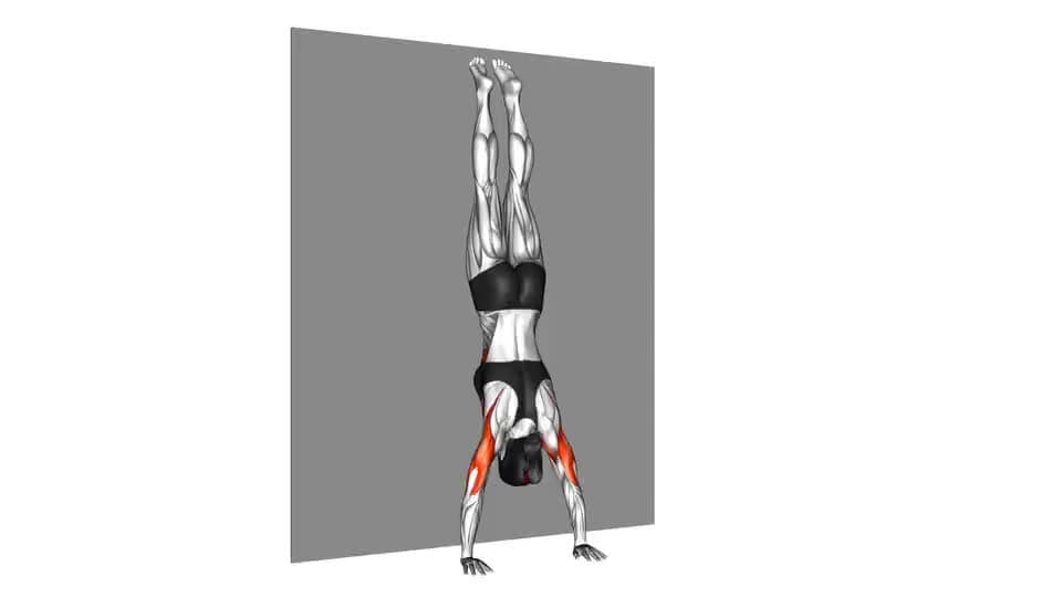 Thumbnail for the video of exercise: Handstand Push-Up