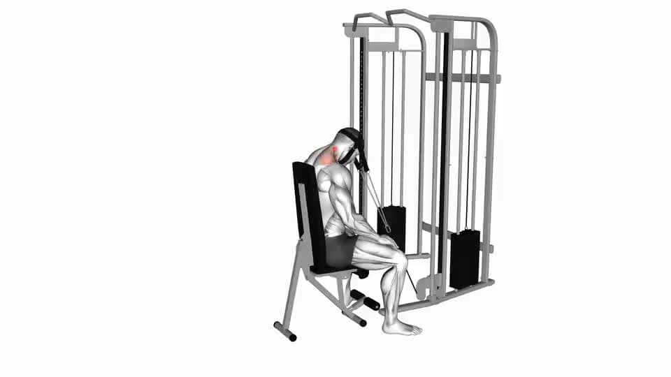 Thumbnail for the video of exercise: تمديد الرقبة بالجلوس بالكابل