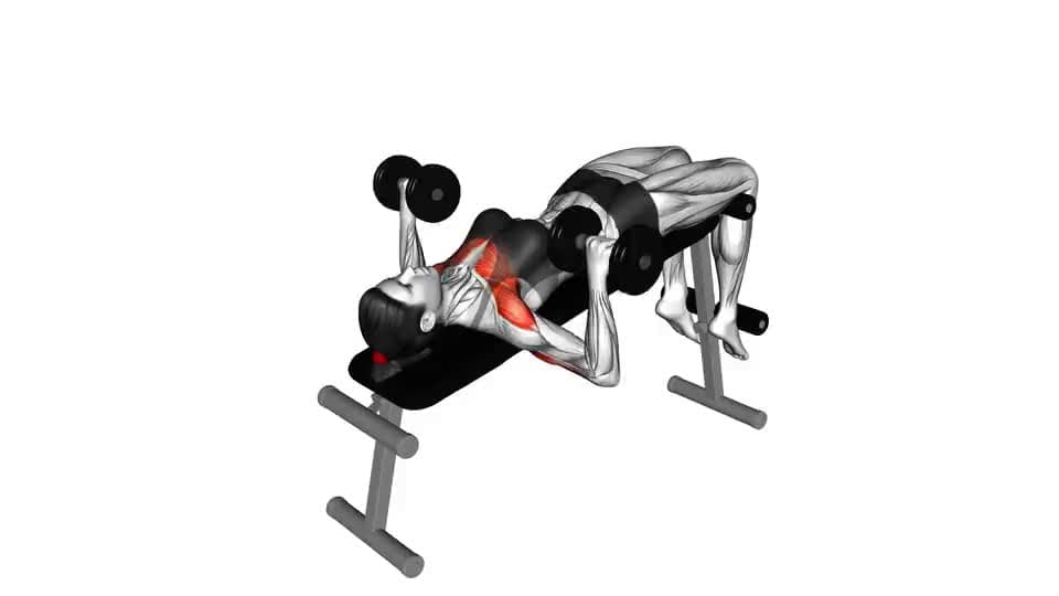 Thumbnail for the video of exercise: Dumbbell Decline Bench Press