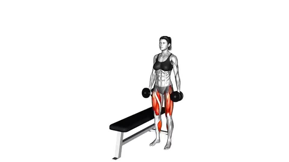 Thumbnail for the video of exercise: Dumbbell Lateral Step-Up