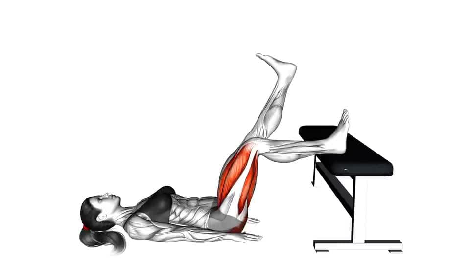 Thumbnail for the video of exercise: Glute Bridge One Leg on Bench