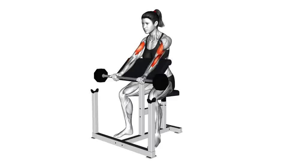 Thumbnail for the video of exercise: ਬਾਰਬੈਲ ਪ੍ਰਚਾਰਕ ਕਰਲ