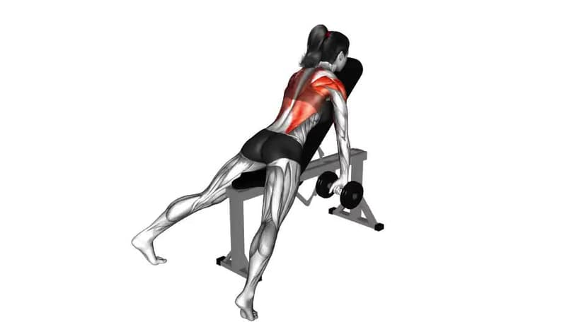 Dumbbell Incline Row - Video Guide | Lyfta