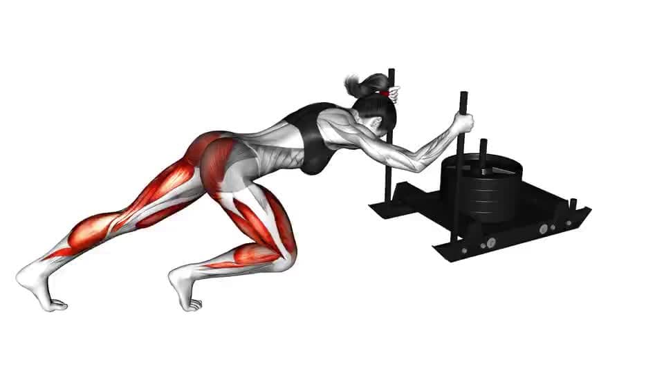 Thumbnail for the video of exercise: Power Sled Push