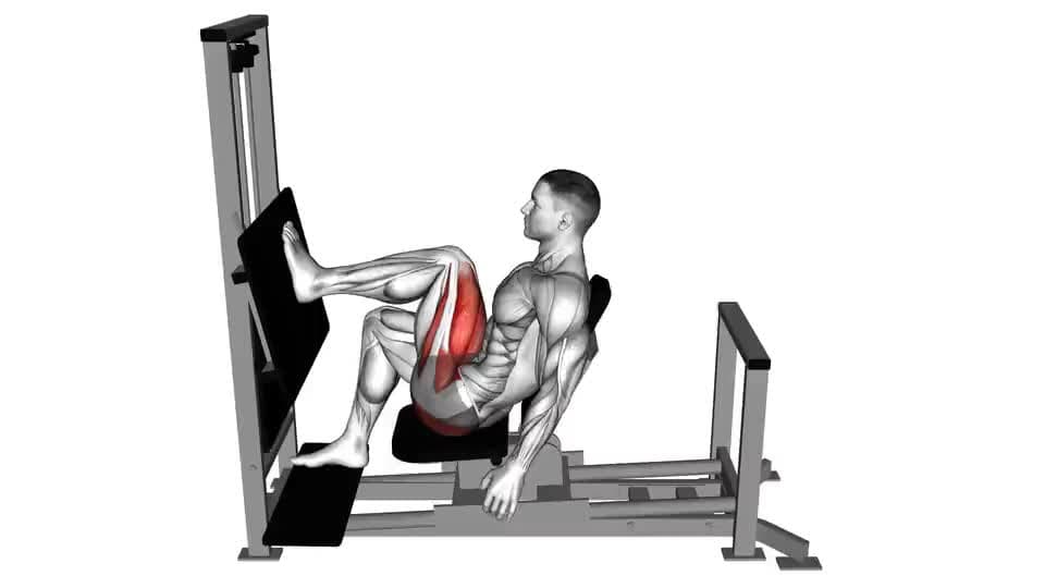 Thumbnail for the video of exercise: Lever Horizontal One leg Press