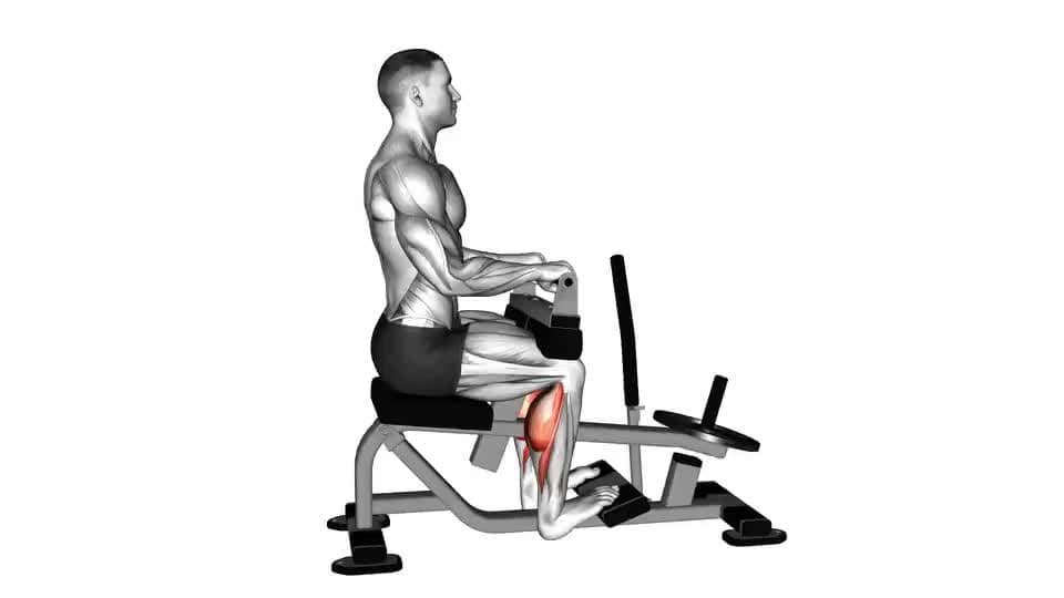 Thumbnail for the video of exercise: Lever Seated Calf Raise