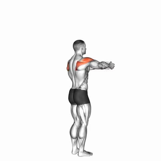 Thumbnail for the video of exercise: ትከሻ - ተሻጋሪ ጠለፋ - ጽሑፎች