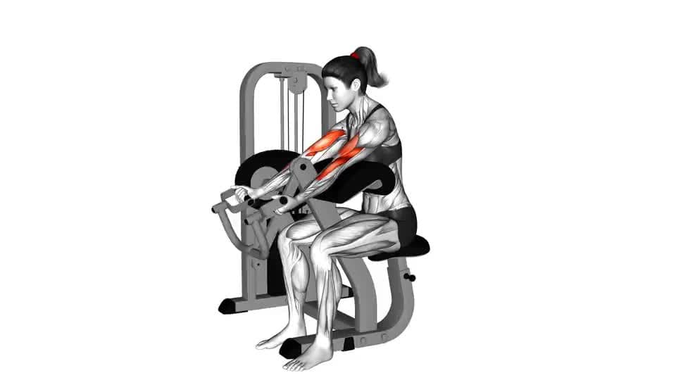 Thumbnail for the video of exercise: Lever Preacher Curl