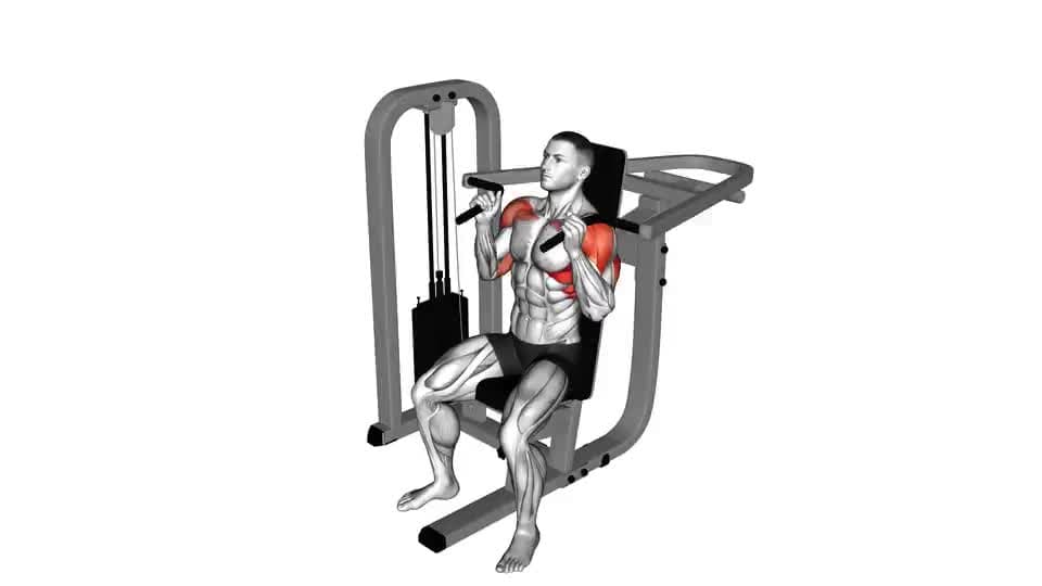 Thumbnail for the video of exercise: Lever Seated Hammer grip Shoulder Press