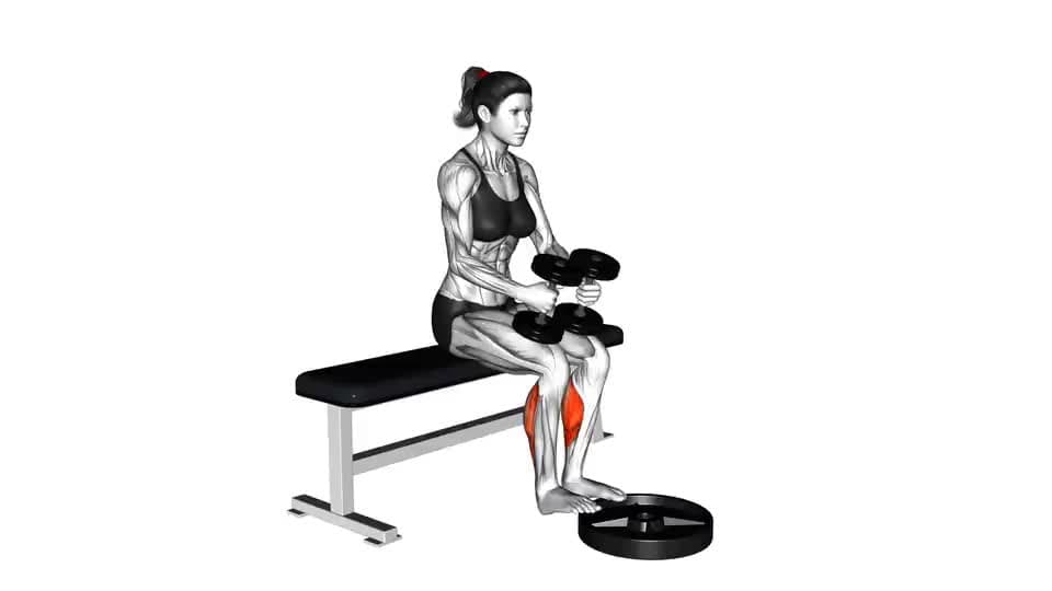 Thumbnail for the video of exercise: Dumbbell Seated Calf Raise