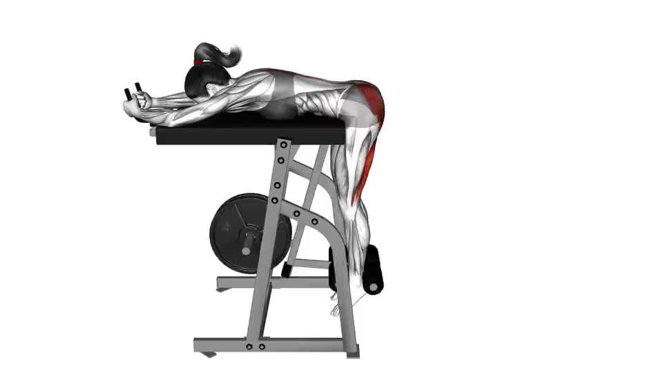 Thumbnail for the video of exercise: Hyperextension vecte inversa