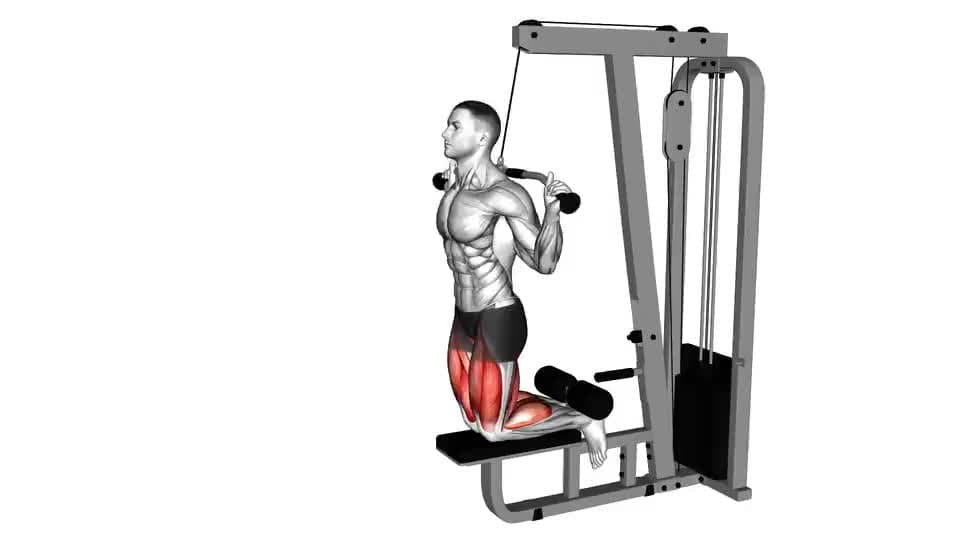 Thumbnail for the video of exercise: Cable Assisted Inverse Leg Curl