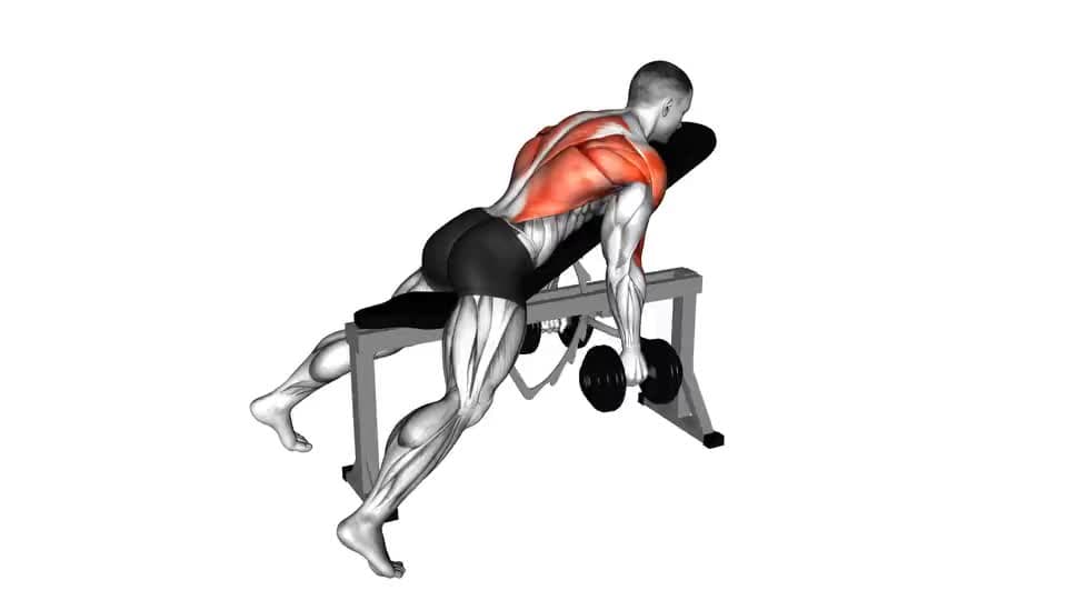 Thumbnail for the video of exercise: Dumbbell Hammer Grip Incline Bench Two Arm Row