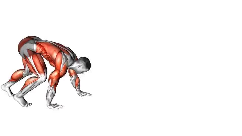 Thumbnail for the video of exercise: भालु क्रल