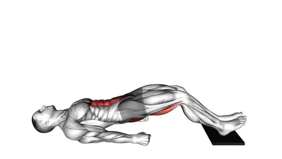 Thumbnail for the video of exercise: Sliding Floor Bridge Curl on Towel