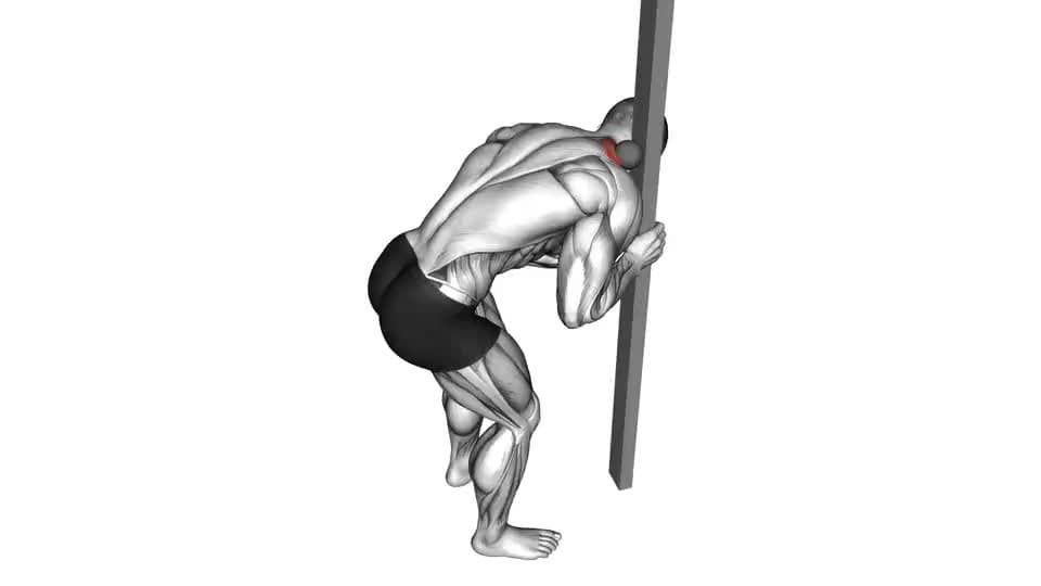 Thumbnail for the video of exercise: لفة الكرة الإصدار شبه المنحرف العلوي