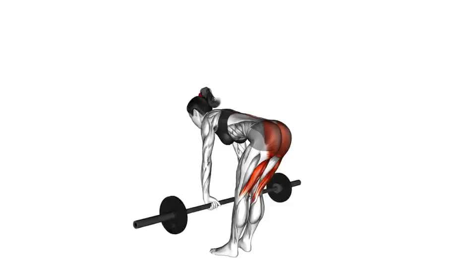 Thumbnail for the video of exercise: বাৰবেল ষ্ট্ৰেইট লেগ ডেডলিফ্ট