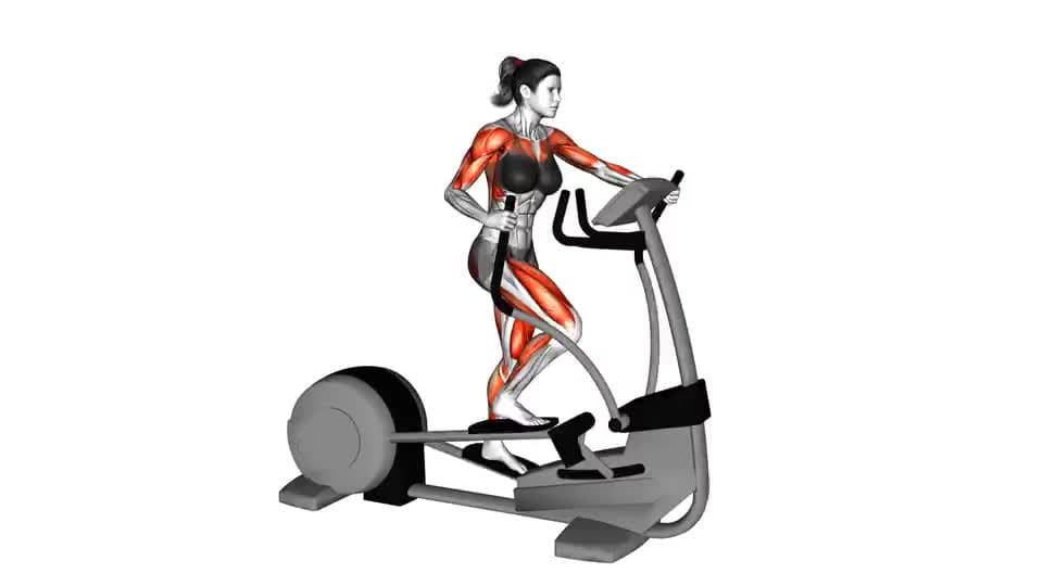 Thumbnail for the video of exercise: Walk Elliptical Cross Trainer