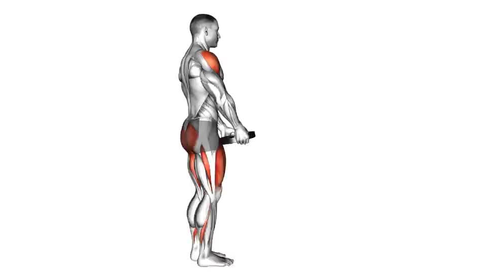 Thumbnail for the video of exercise: Weighted Lunge with Swing