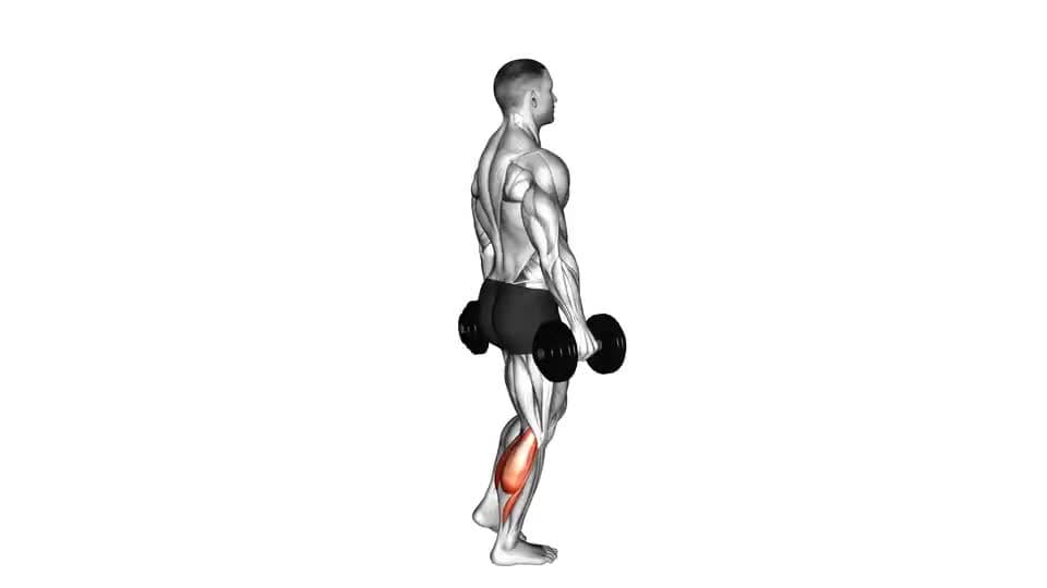 Thumbnail for the video of exercise: Dumbbell Standing Single Leg Calf Raise