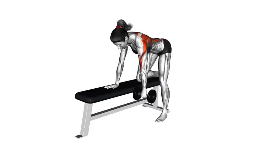 Thumbnail for the video of exercise: Halter Agter Delt Ry